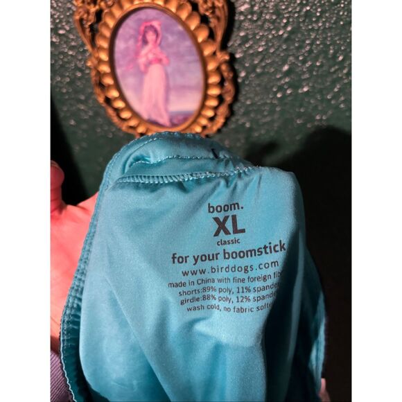 Mens GRAY AND BLUE BirdDogs Shorts Sz XL Lined - Picture 4 of 5